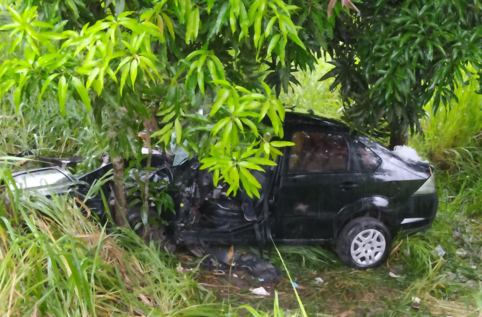 Médica e motorista morrem após carro cair em ribanceira na BR 232 na