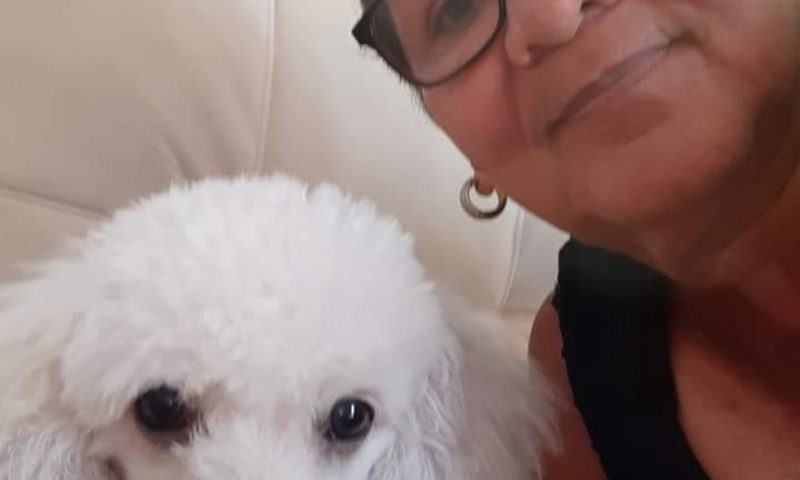 Professora aposentada e cachorro são mortos a tiros durante passeio perto de casa