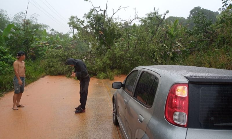 Fortes chuvas e ventos causam queda de árvores, enxurrada e deslizamento