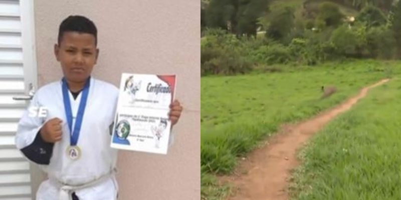 Criança confunde cobra com graveto e morre após ser picada