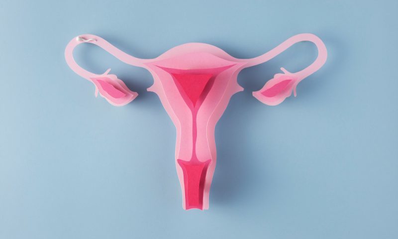 Metais pesados como chumbo e mercúrio podem estar associados a um maior risco de endometriose