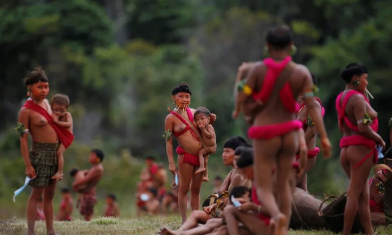 Yanomamis não teriam sobrevivido a mais quatro anos de governo Bolsonaro,diz secretário