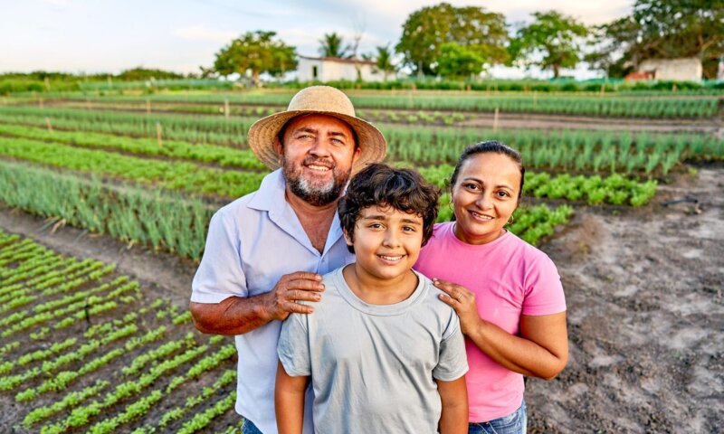 Governo retomará compras de alimentos da agricultura familiar