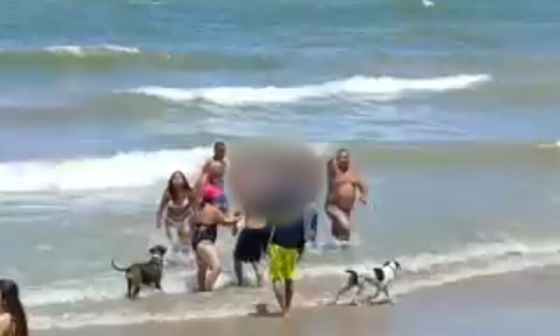 Vídeo mostra momento em que Adolescente é resgatada após ataque de tubarão