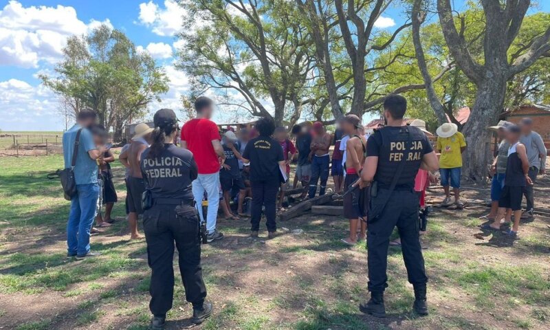 Operação resgata 56 pessoas de trabalho escravo em fazendas de arroz