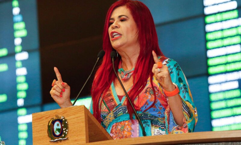 Gleide Ângelo cobra Governo Raquel Lyra resposta na área da segurança