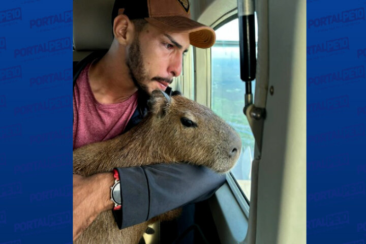Justiça manda Ibama devolver capivara Filó a influencer