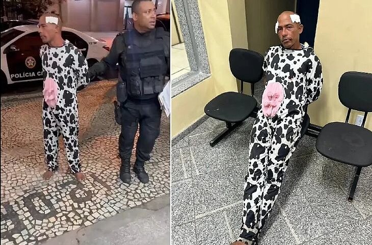 Homem vestido de vaca é preso após tentar furtar mochila em Copacabana