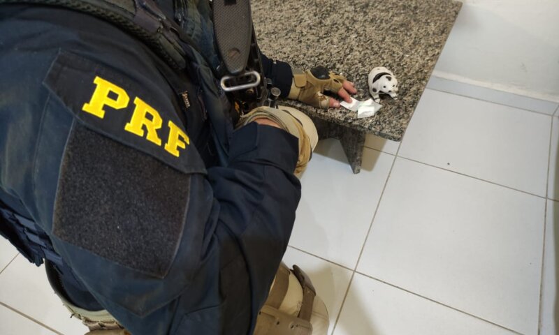 Casal é detido com 35 Kg de maconha e porções de cocaína em cachorro de brinquedo