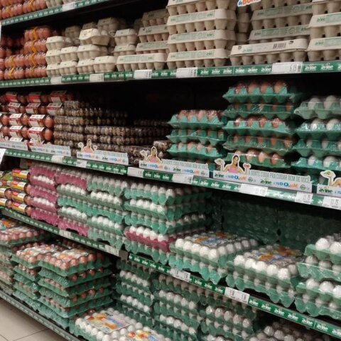 Preço do ovo tem a maior alta de preços da década no Brasil