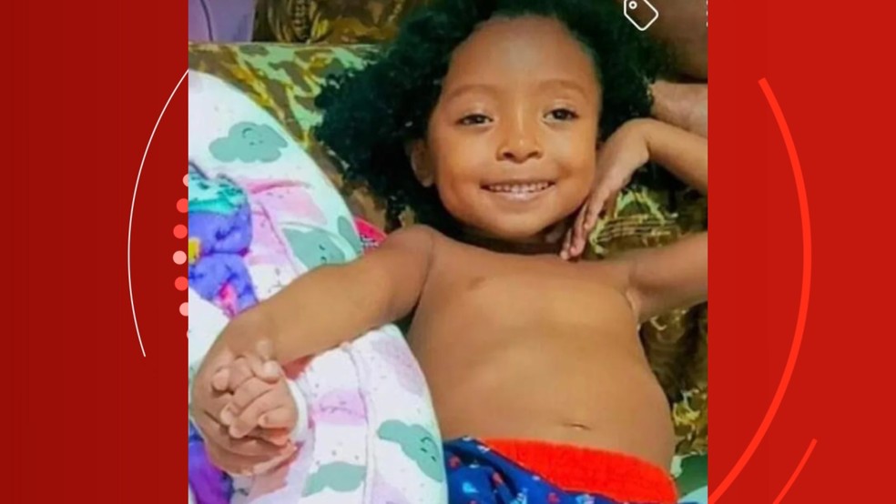 Menina De 5 Anos Morre Após Ser Picada Por Escorpião Enquanto Brincava Com Amigos Portalpe10 3507