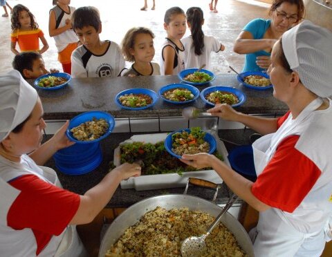 Senado aprova proibição de ultraprocessados, com altos teores de calorias e gordura saturada, em escolas