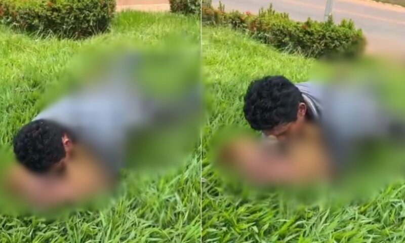 Homem é flagrado cometendo abuso sexual com cadela e acaba preso