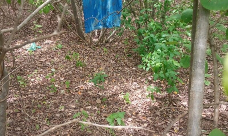 Força-tarefa encontra camiseta de presidiário em buscas por fugitivos de Mossoró