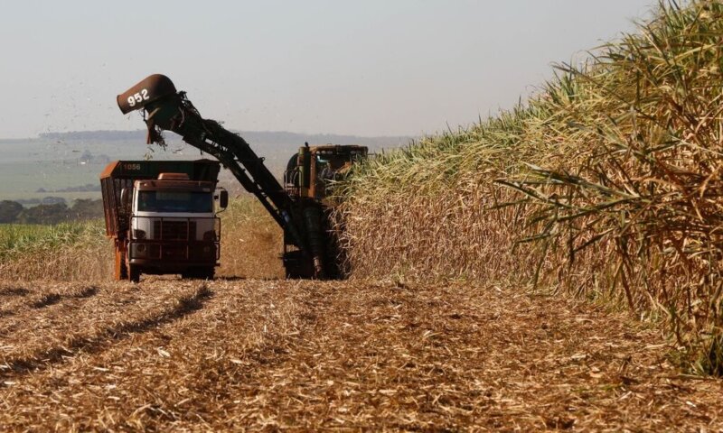 Com crescimento de 2,9%, Brasil volta ao grupo das 10 maiores economias globais