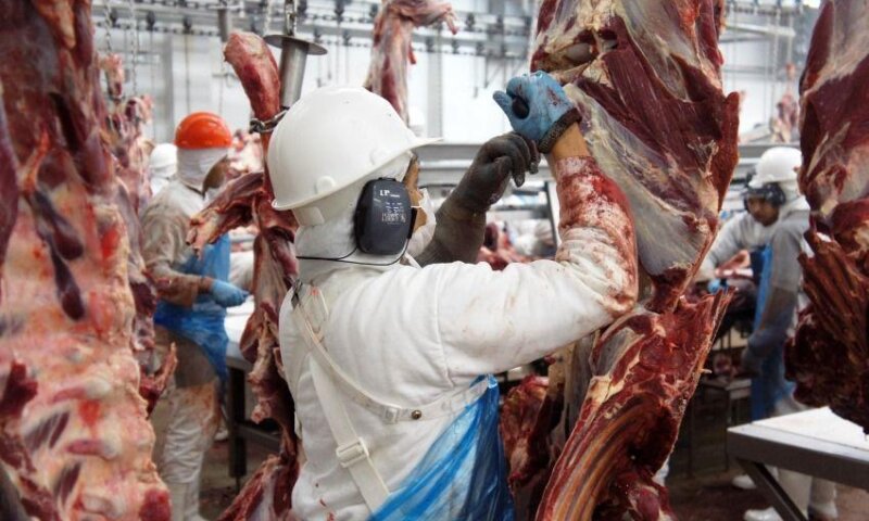 Autorizados: mais 38 frigoríficos brasileiros já podem exportar carnes para a China