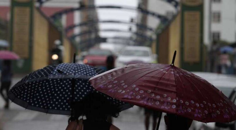 Inverno começa nesta semana e deve ter temperaturas acima da média