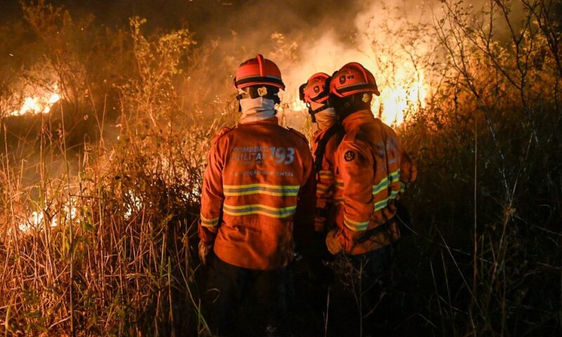 95% do fogo no pantanal têm origem em propriedades privadas