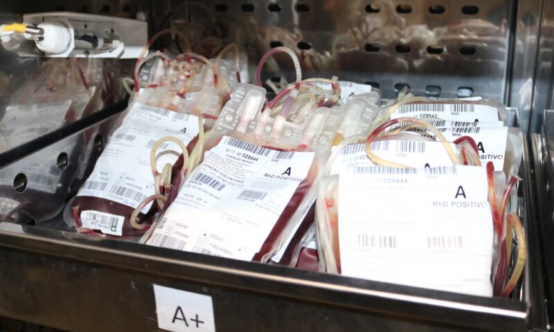 STF decidirá se testemunha de Jeová pode recusar transfusão de sangue