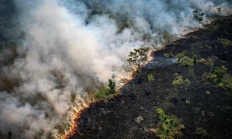 Amazônia tem pior temporada  de queimadas em 17 anos, corredor de fumaça se espalha e afeta 10 estados