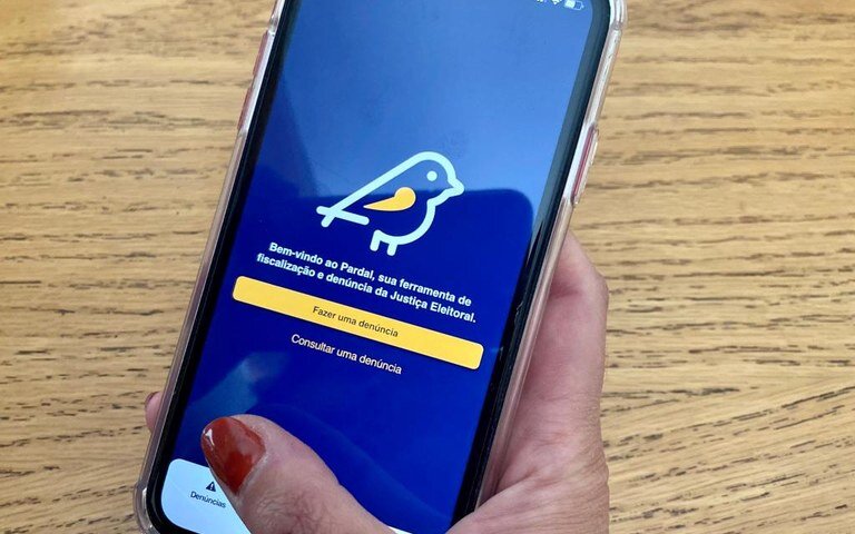 Eleições 2024: Aplicativo Pardal registra 37 mil denúncias de publicidade irregular