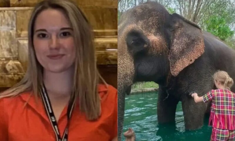 Elefante mata turista espanhola em santuário na Tailândia