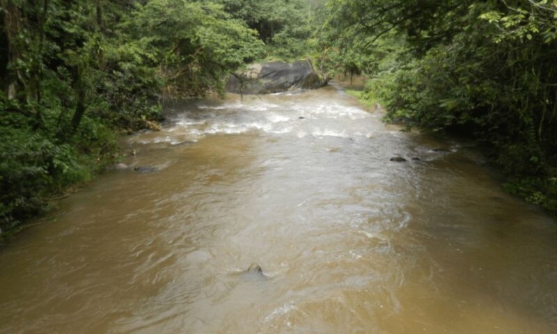 Adolescente de 14 anos desaparece após entrar em rio com correnteza em PE