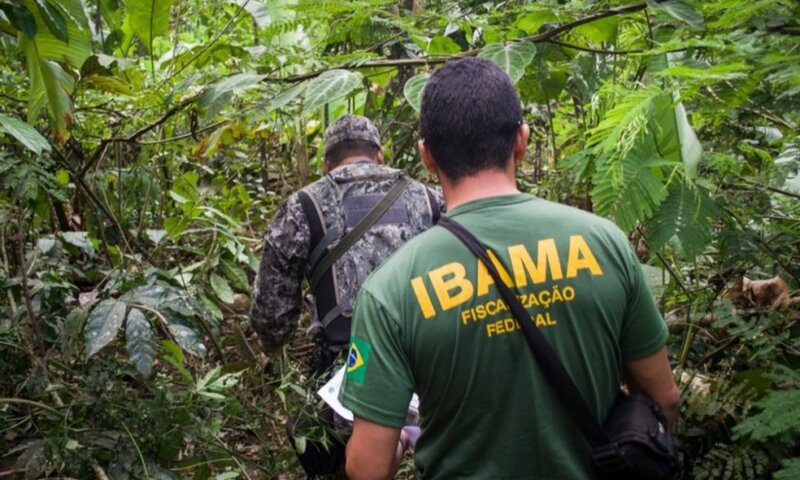 Concurso Ibama: publicado edital com 460 vagas e salário de até R$ 9,9 mil