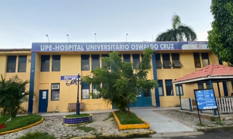 Pernambuco confirma caso de raiva humana após mulher ser mordida por sagui;paciente está internada em estado grave