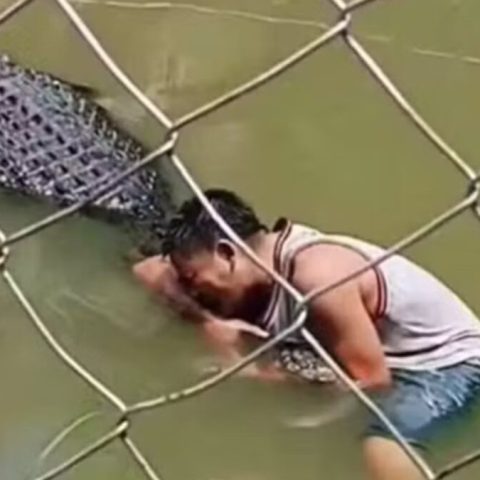 IMAGEM FORTE: Turista confunde crocodilo com estátua, tenta tirar selfie e é pego por ‘giro da morte’; veja vídeo