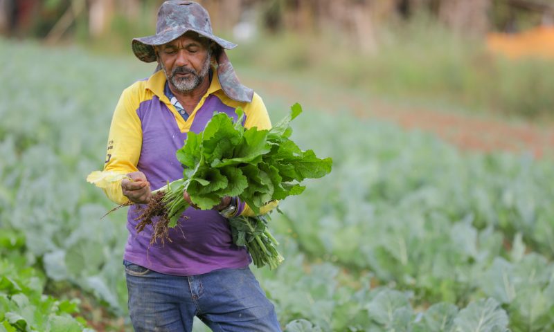 Governo de Pernambuco inicia pagamento do Programa Chapéu de Palha para os trabalhadores de 55 municípios