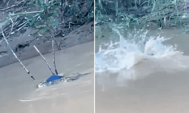 Adolescente de 15 anos morre após ser arrastado e morto por crocodilo em rio