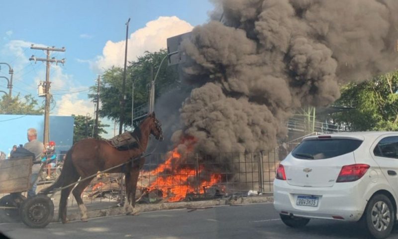 Carroceiros garantem continuidade dos protestos no Recife e cobram prefeito João Campos (PSB)