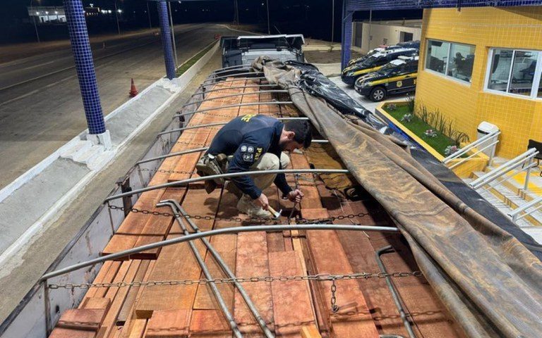 Em Pernambuco,PRF realiza maior apreensão de madeira ilegal da história em rodovias federais