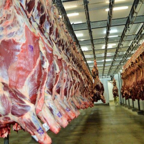 Brasil desbanca EUA e é líder mundial na produção de carne bovina