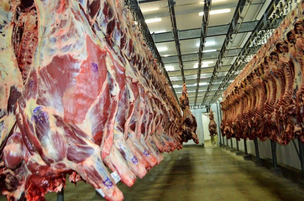 Brasil desbanca EUA e é líder mundial na produção de carne bovina