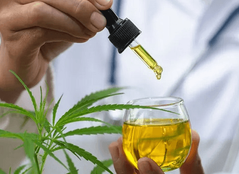 Anvisa aprova novas regras para uso da cannabis medicinal e amplia acesso no Brasil