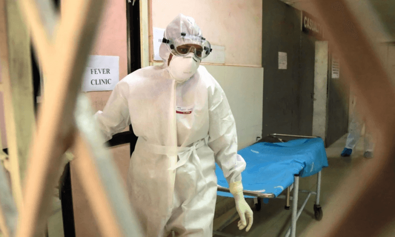 Qual é o risco do vírus Nipah chegar ao Brasil? Índia registra novos casos