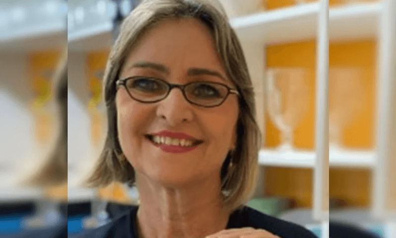 Filho mata a própria mãe a facadas e assume ter cometido o crime minutos depois, para a própria avó