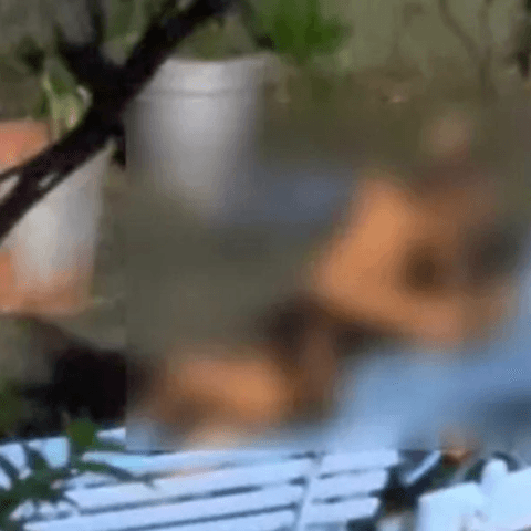 VÍDEO: Casal é flagrado fazendo sexo ao ar livre em oratório de igreja