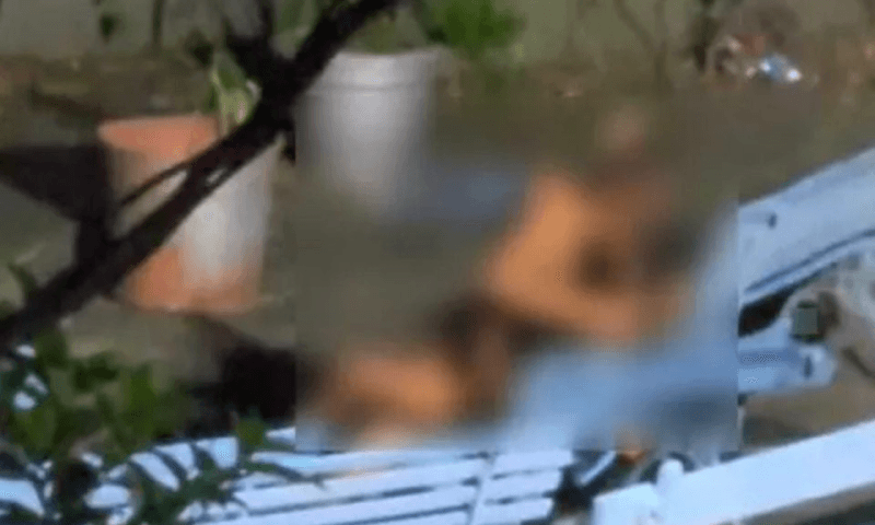 VÍDEO: Casal é flagrado fazendo sexo ao ar livre em oratório de igreja