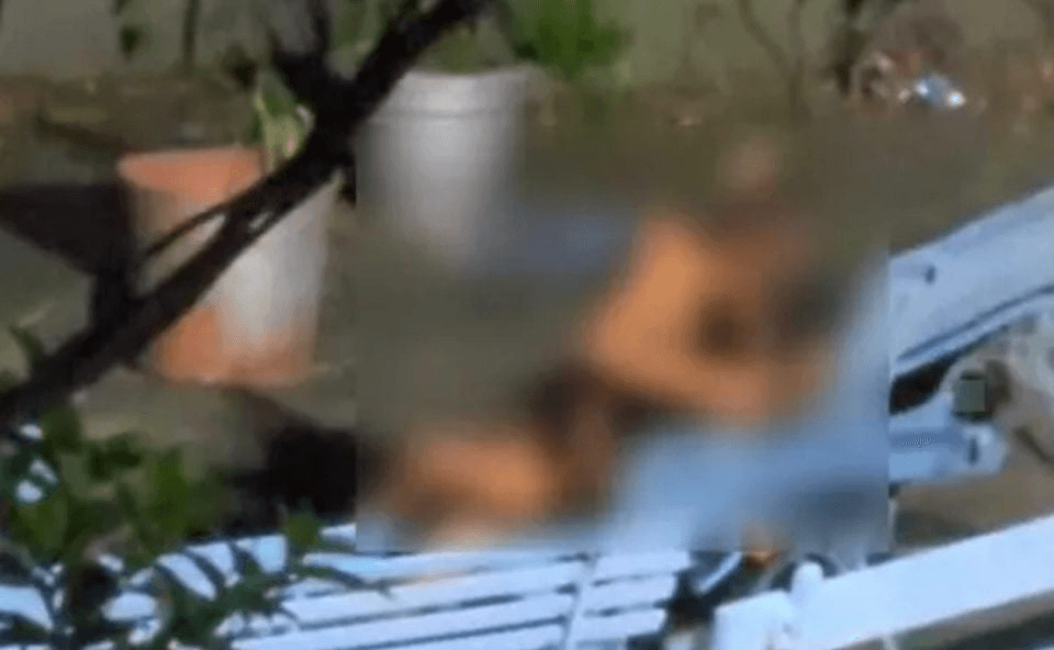 VÍDEO: Casal é flagrado fazendo sexo ao ar livre em oratório de igreja