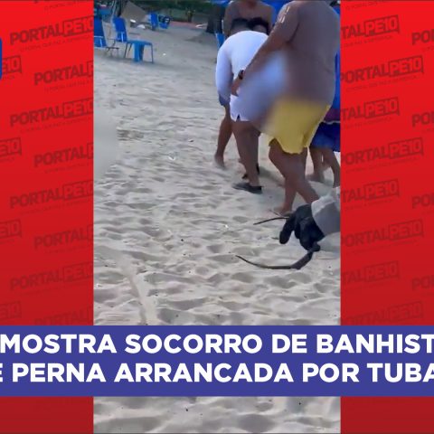 Vídeo mostra socorro de banhista que teve perna arrancada por tubarão em Boa Viagem. Assista